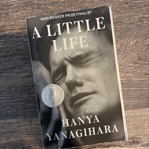 Hanya yanagihara: a little life book